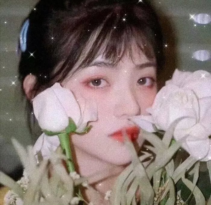 白夜宸缘起三生